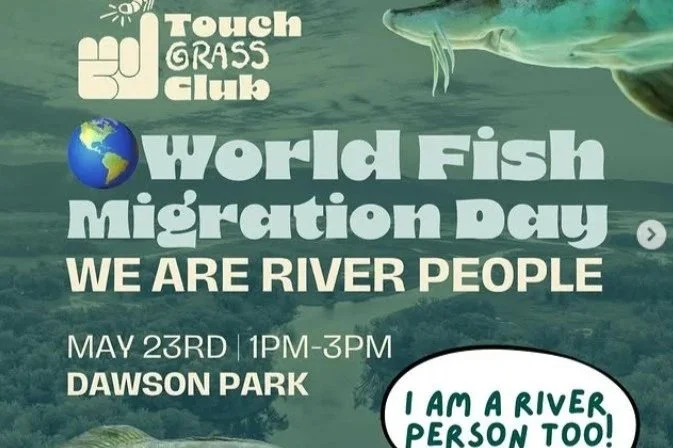World Fish Migration Day: We are river people