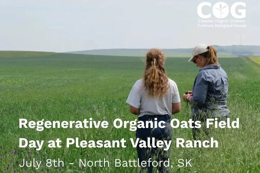 Regenerative Organic Oat Field Day at Pleasant Valley Ranch