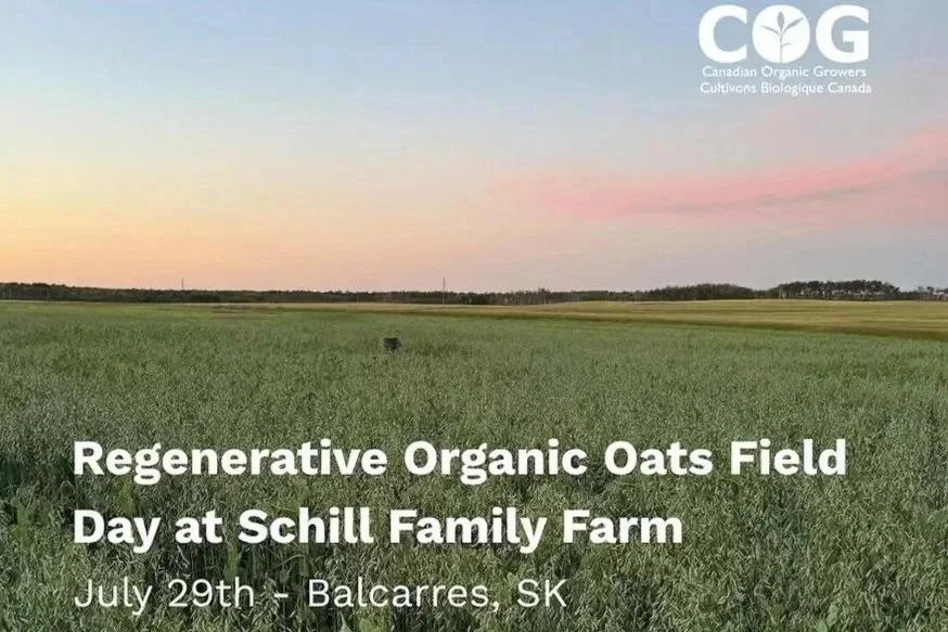 Regenerative Organic Field Day at Schill Family Farm