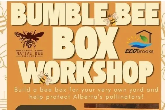 Bumble Bee Box Workshop