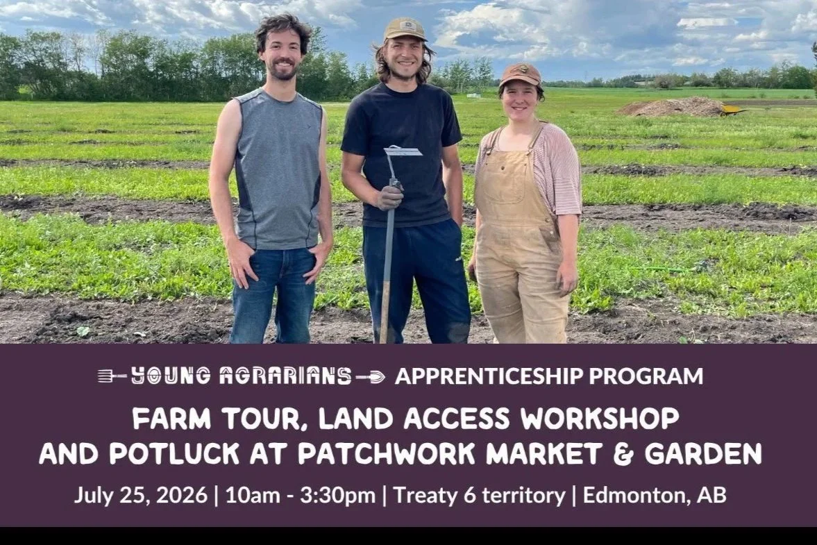 Farm Tour, Land Access Workshop & Potluck at  Patchwork Market & Garden