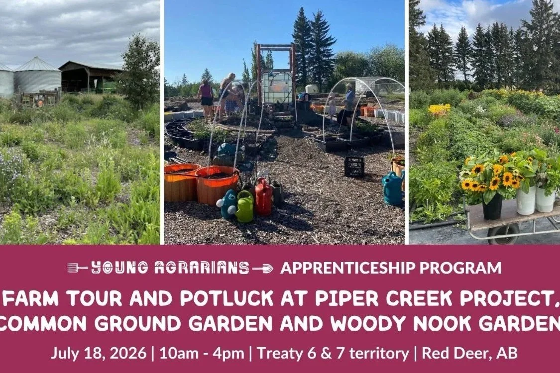 Farm Tour and Potluck at Piper Creek Project, Common Ground Garden and Woody Nook Gardens