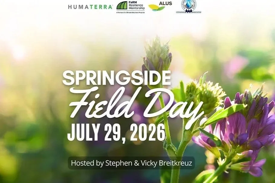 Springside Field Day