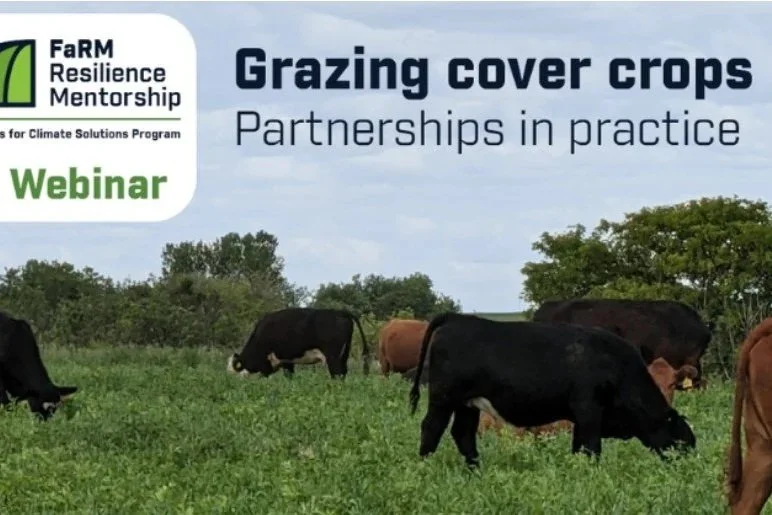 Grazing Cover Crops: Partnerships in Practice