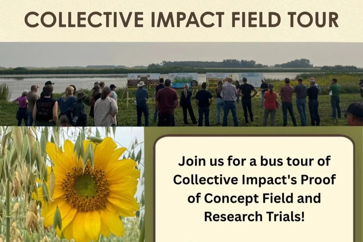 Collective Impact Field Tour