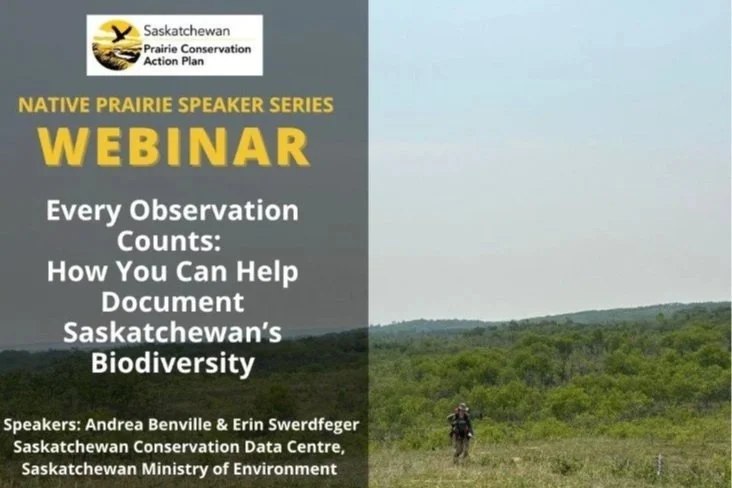 Every Observation Counts: How You Can Help Document Saskatchewan’s Biodiversity