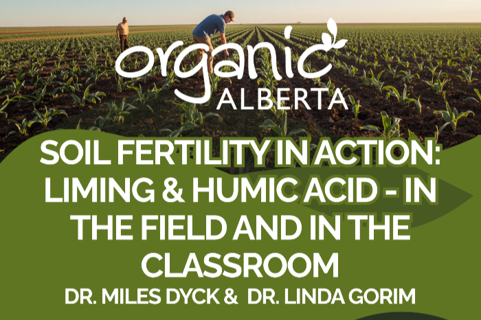 Soil Fertility in Action