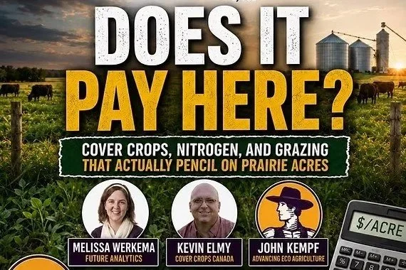 Does it Pay Here?