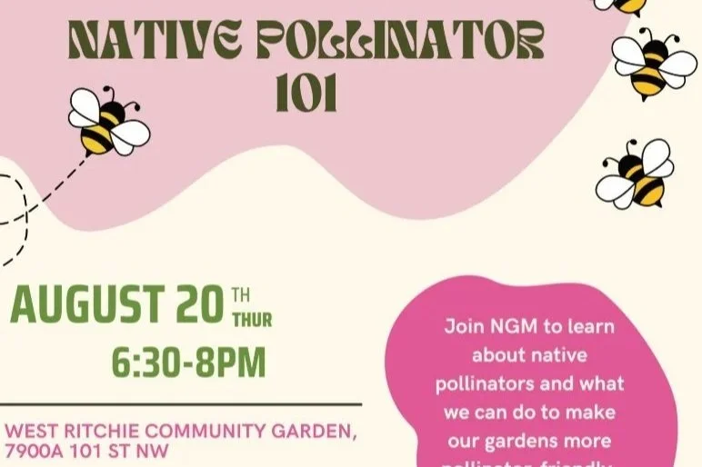 Native Pollinator 101
