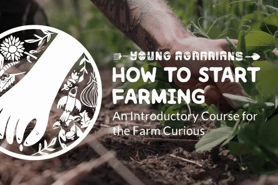 How to Start Farming: An Introductory Course for the Farm Curious