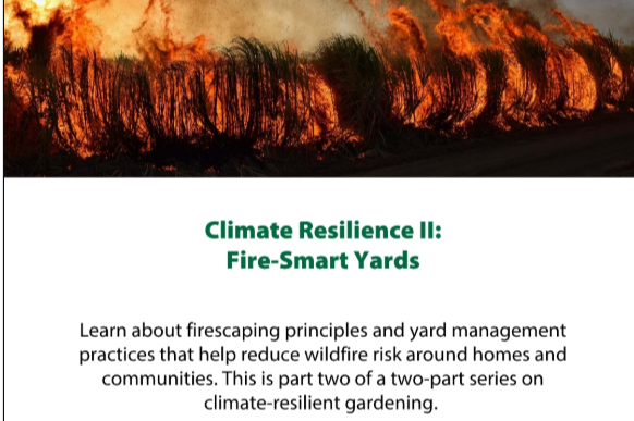 Climate Resilience II: Fire‑Smart Yards