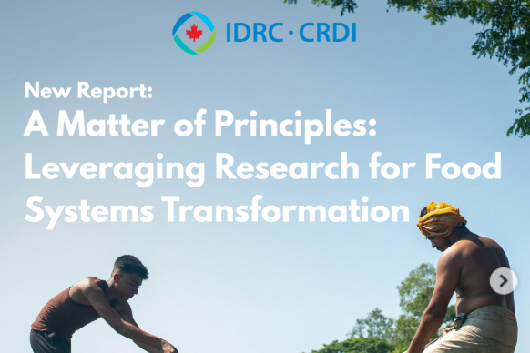 A Matter of Principles - IDRC Report Launch