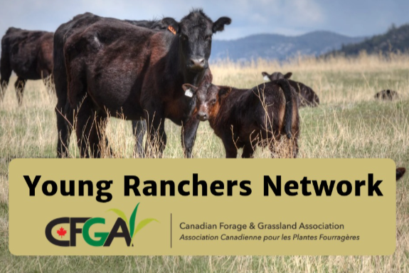 Rotational Grazing: Improving Farm Profitability and Pasture Health