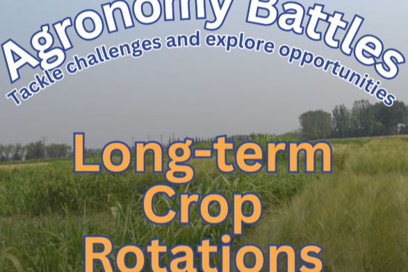 Agronomy Battles - Long Term Crop Rotations