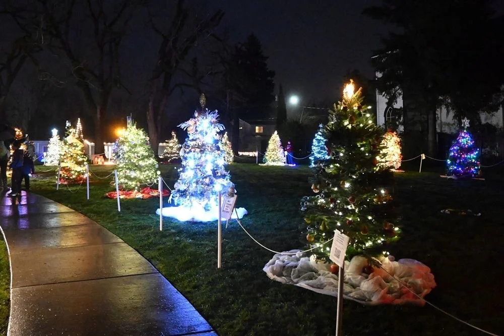 Tree Decorating Contest