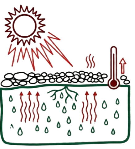 seasonal soil changes, winter frost protection, summer heat retention, decorative stones, microclimate, Avesium