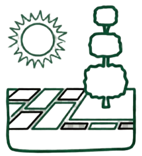 modern garden design, decorative stones landscaping, clean aesthetic, structured garden layout, outdoor design, Avesium