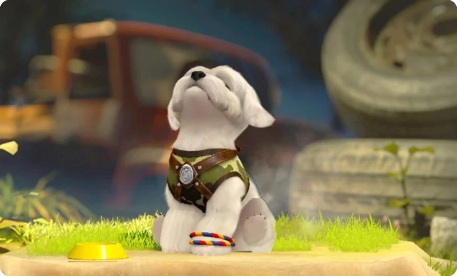 A dog with a white face and ears, wearing a camouflage vest with a badge, sits on grass with a yellow bowl, a colorful ring, and a leash. A blurred car and stone structures are in the background.