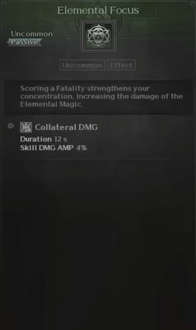 Elementalist, Wizard, Skills, Elemental Focus, Raven 2