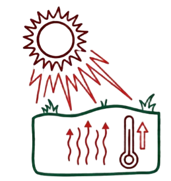 soil overheating, decorative stones, summer heat, root stress, garden soil temperature, heat absorption