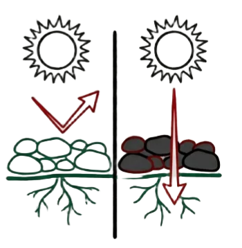 alt: stone color heat absorption, thermal behavior, light stones, dark stones, granite basalt, soil temperature, Avesium