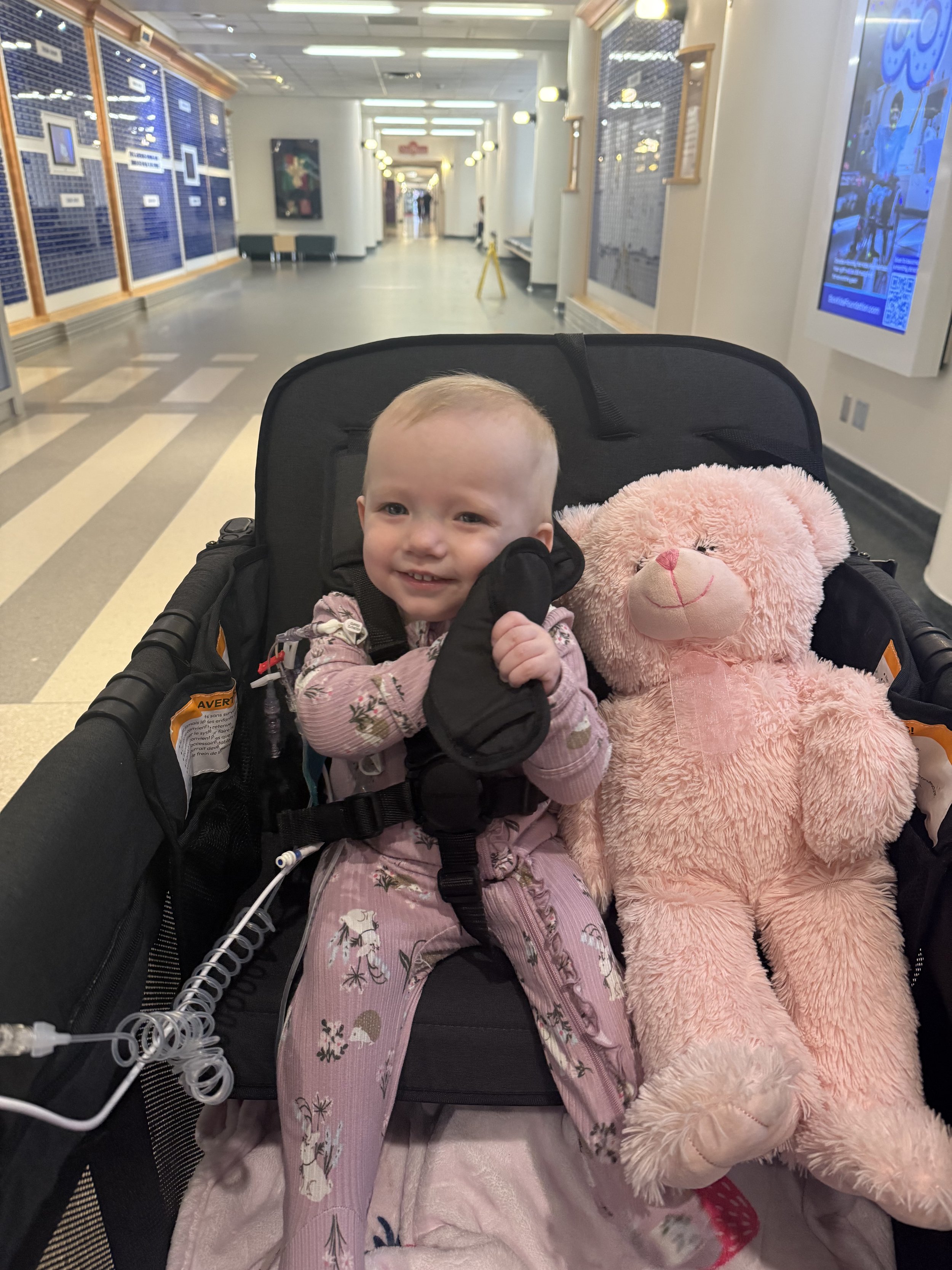 Strawberry’s Story