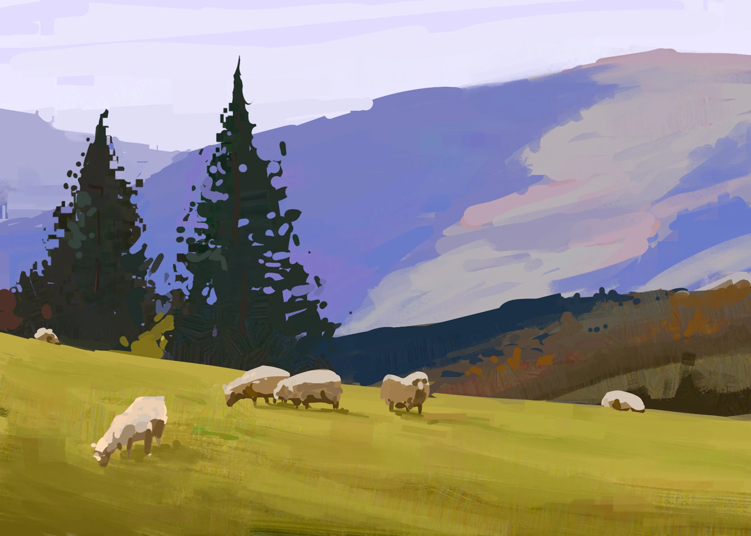 Sheep.jpg