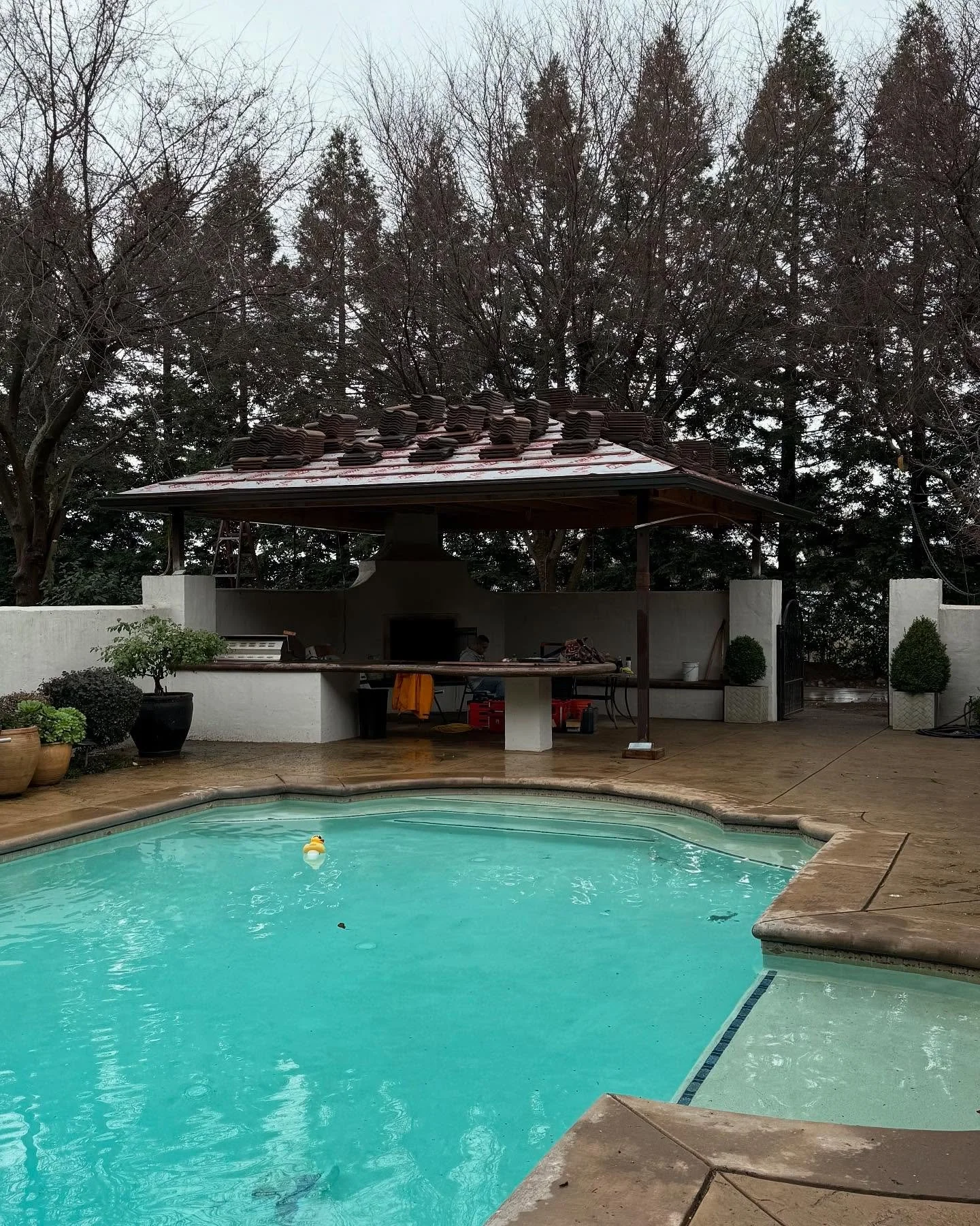 Roof Framing #framing #roof #arches