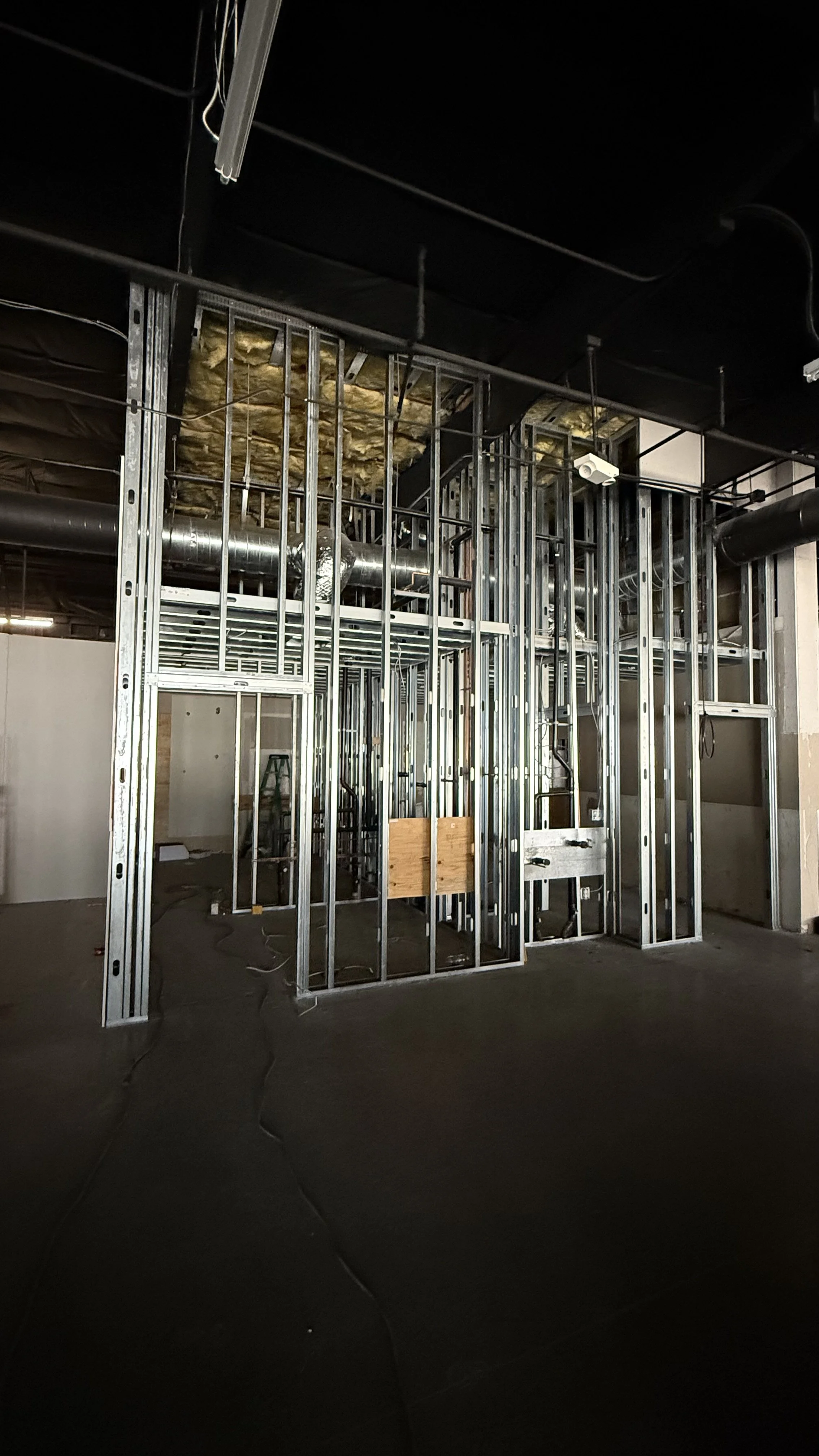 Light Gauge Steel Framing