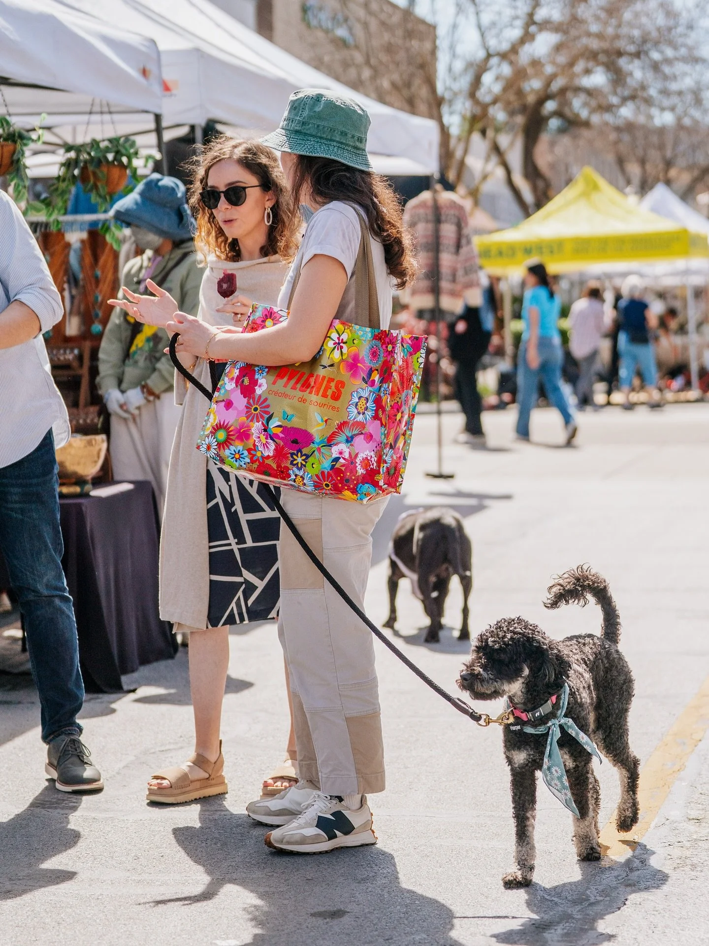 GRAB A FRIEND&hellip;.
.
And come on down to Shop Small with us on State Street in Los Altos @cityoflosaltos 🛍️🤗
.
We&rsquo;re here outside @statestreetmarket at the corner of State Street and 3rd Street until 5pm ✨
.
Stroll in the sunshine with fr