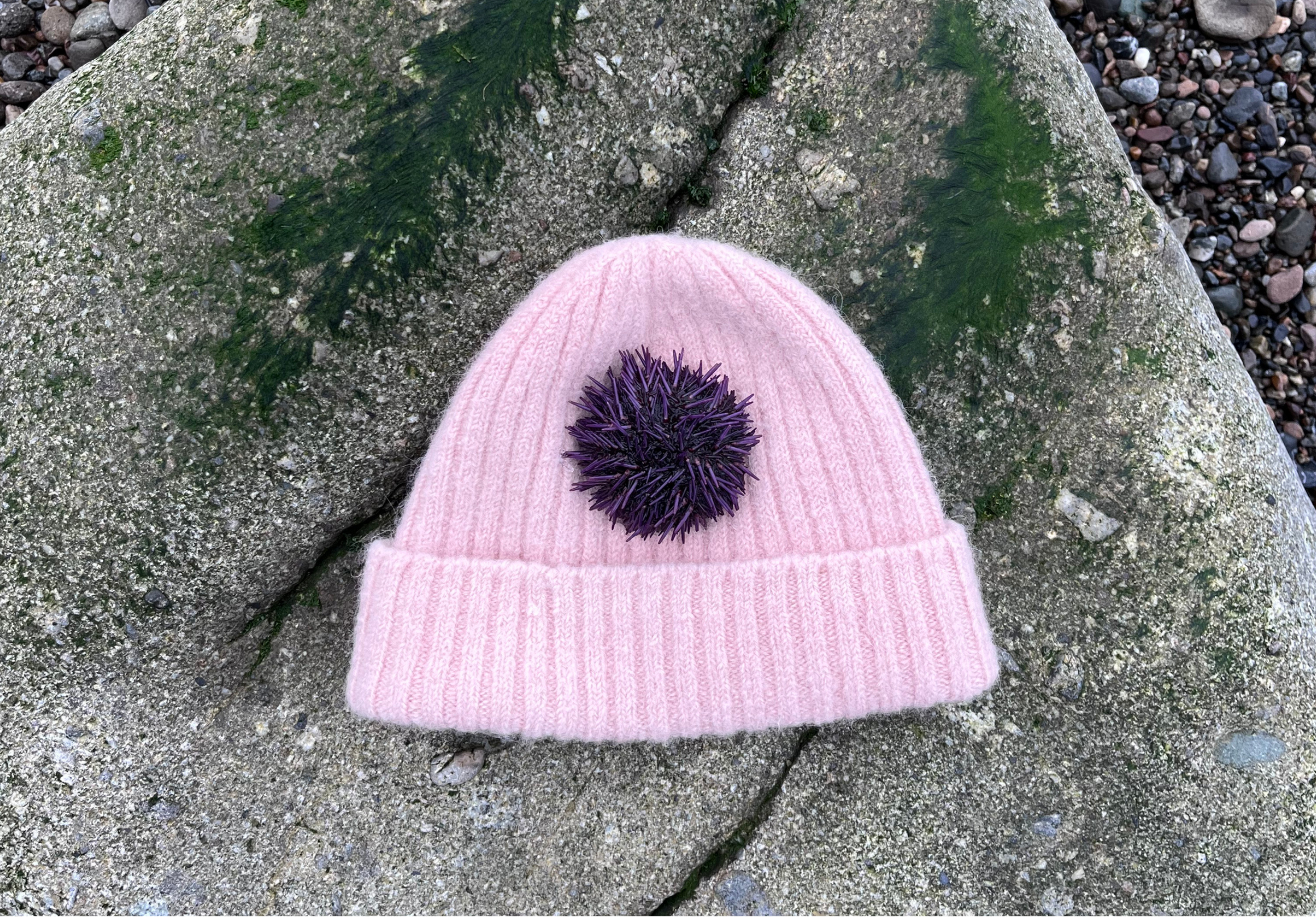 Beanie_2026.png