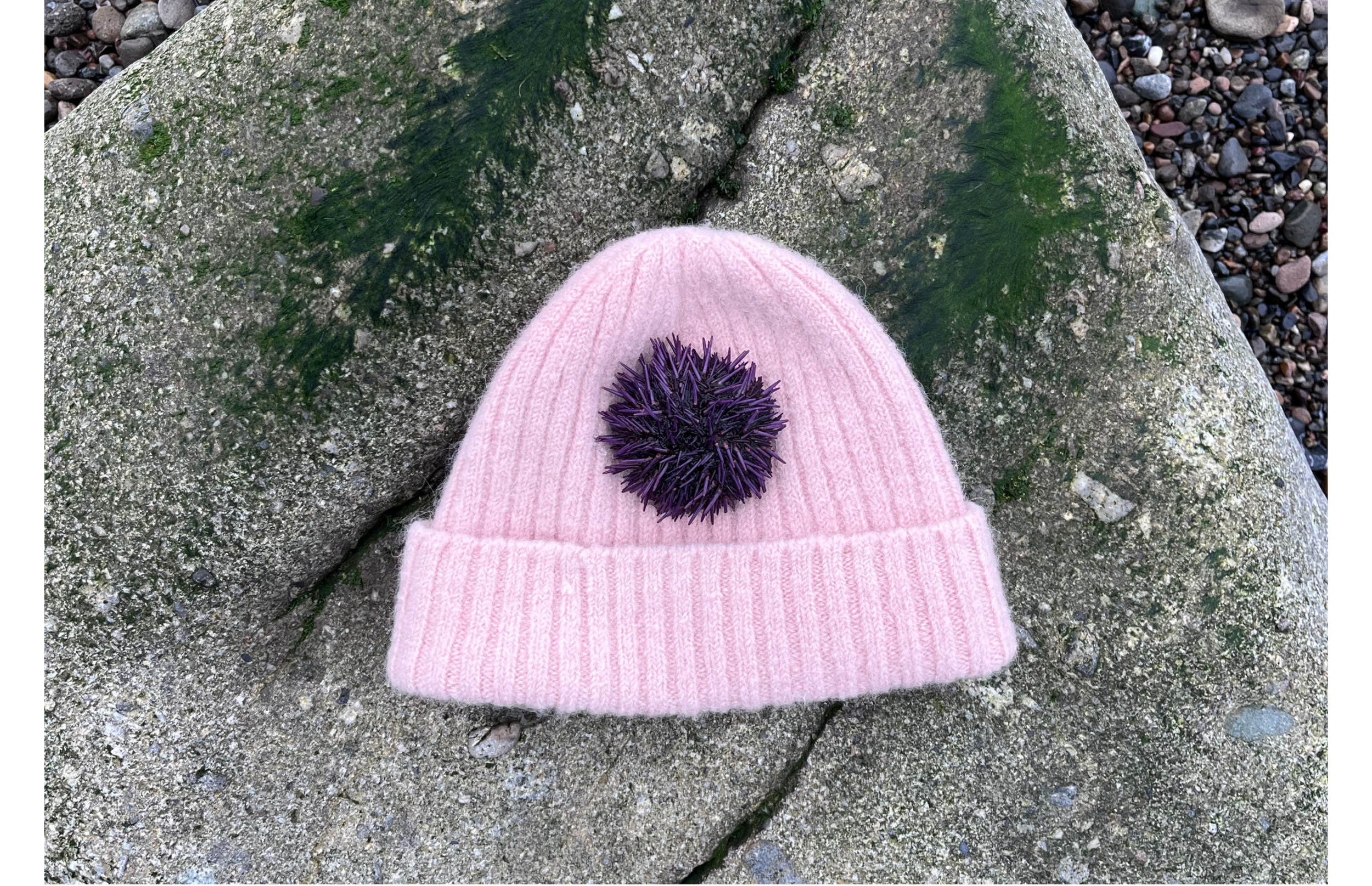 Naturally Dye a Beanie with Sea Urchins