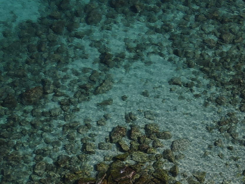 ocean.png