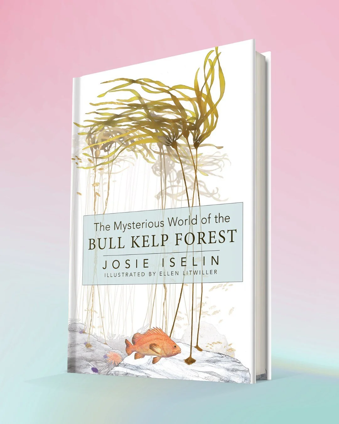 The Mysterious World of the Bull Kelp Forest