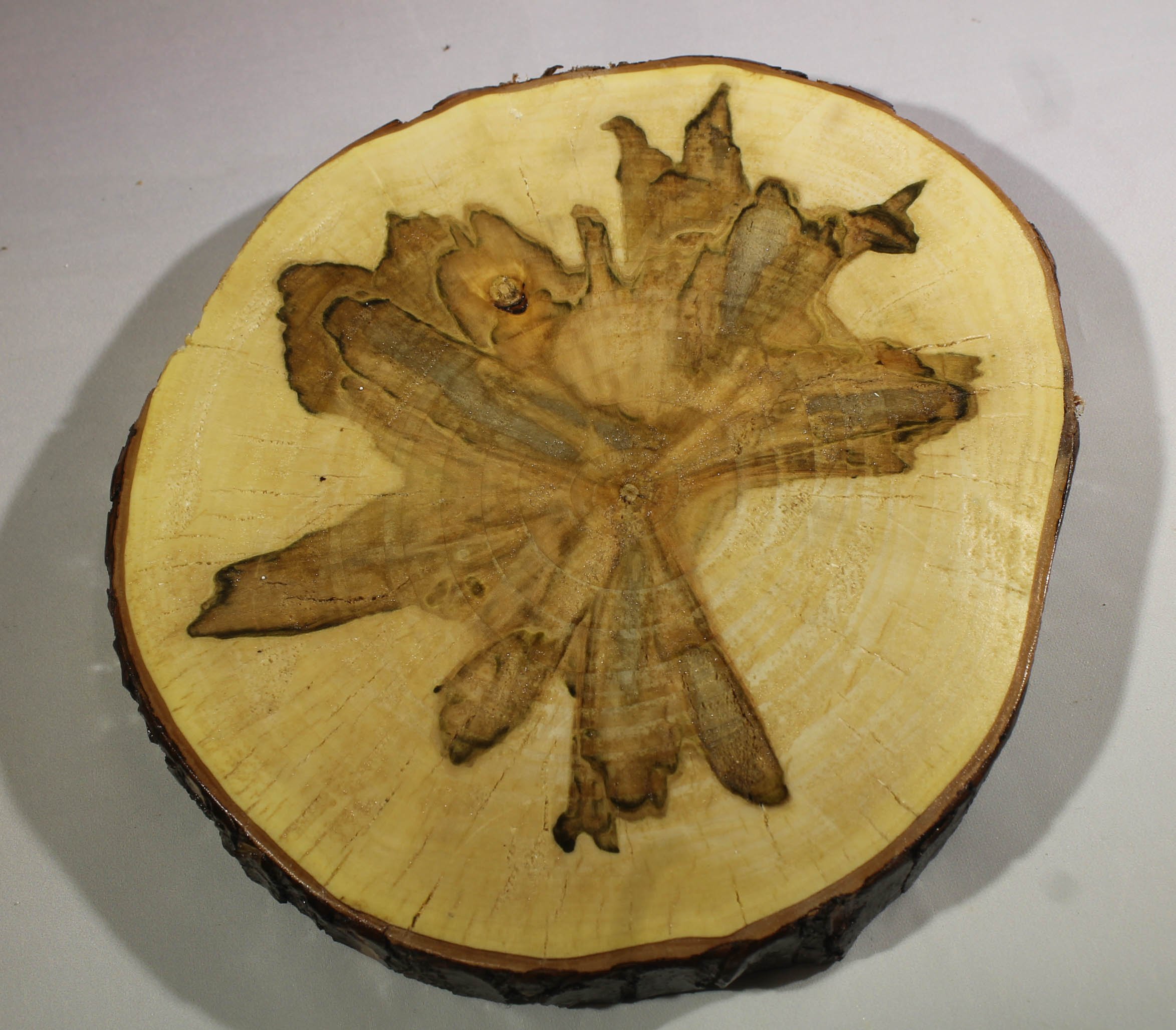 TV3
Spalted Maple Trivet (Wooden Cookie) 
Appx. 8” round, ¾” thick
Do not put extremely hot pots or pans on this surface.  It is meant for warm items only.
$35
