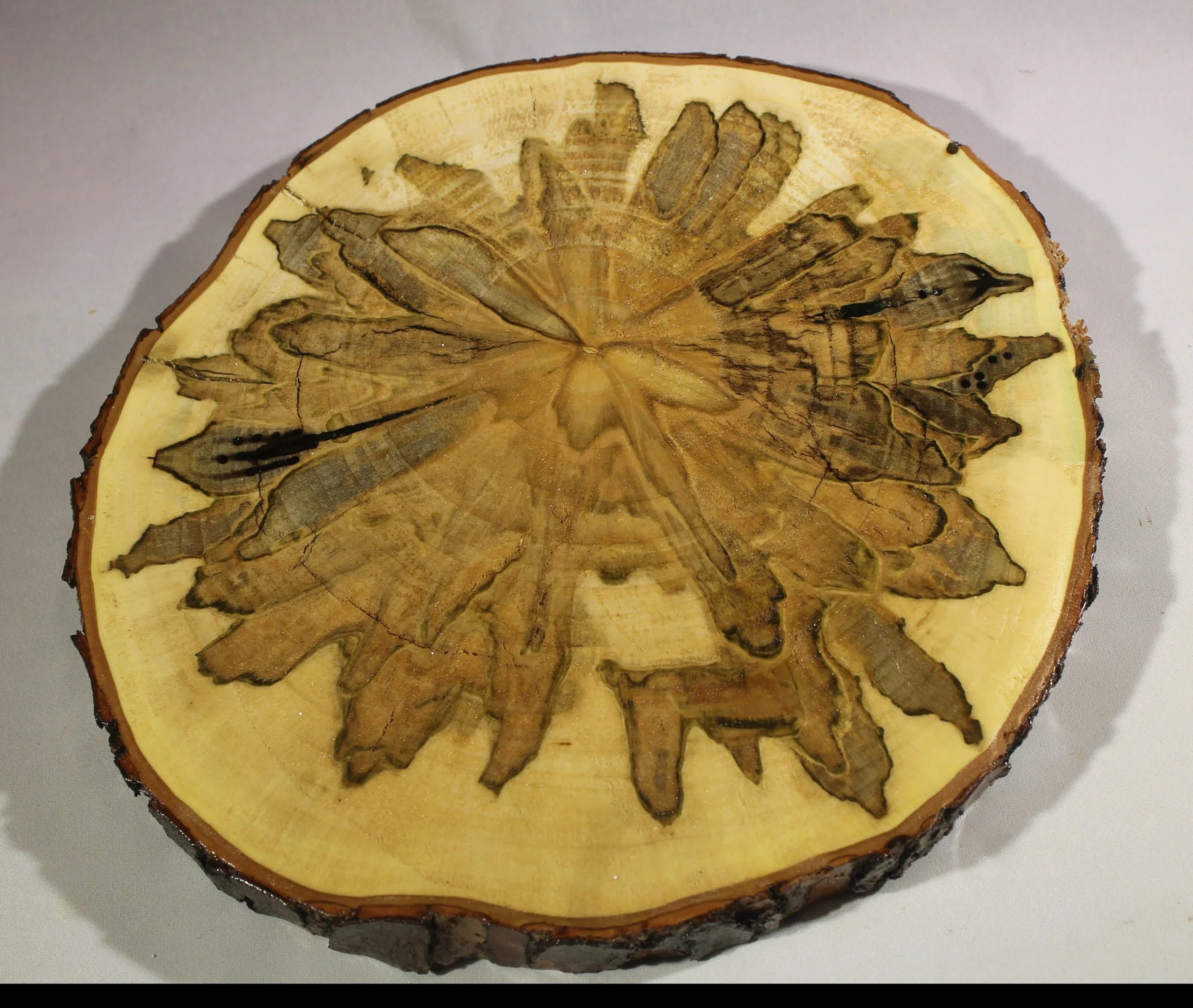 TV2
Spalted Maple Trivet (Wooden Cookie)
Appx. 9” round, ¾” thick
Do not put extremely hot pots or pans on this surface.  It is meant for warm items only.
$35