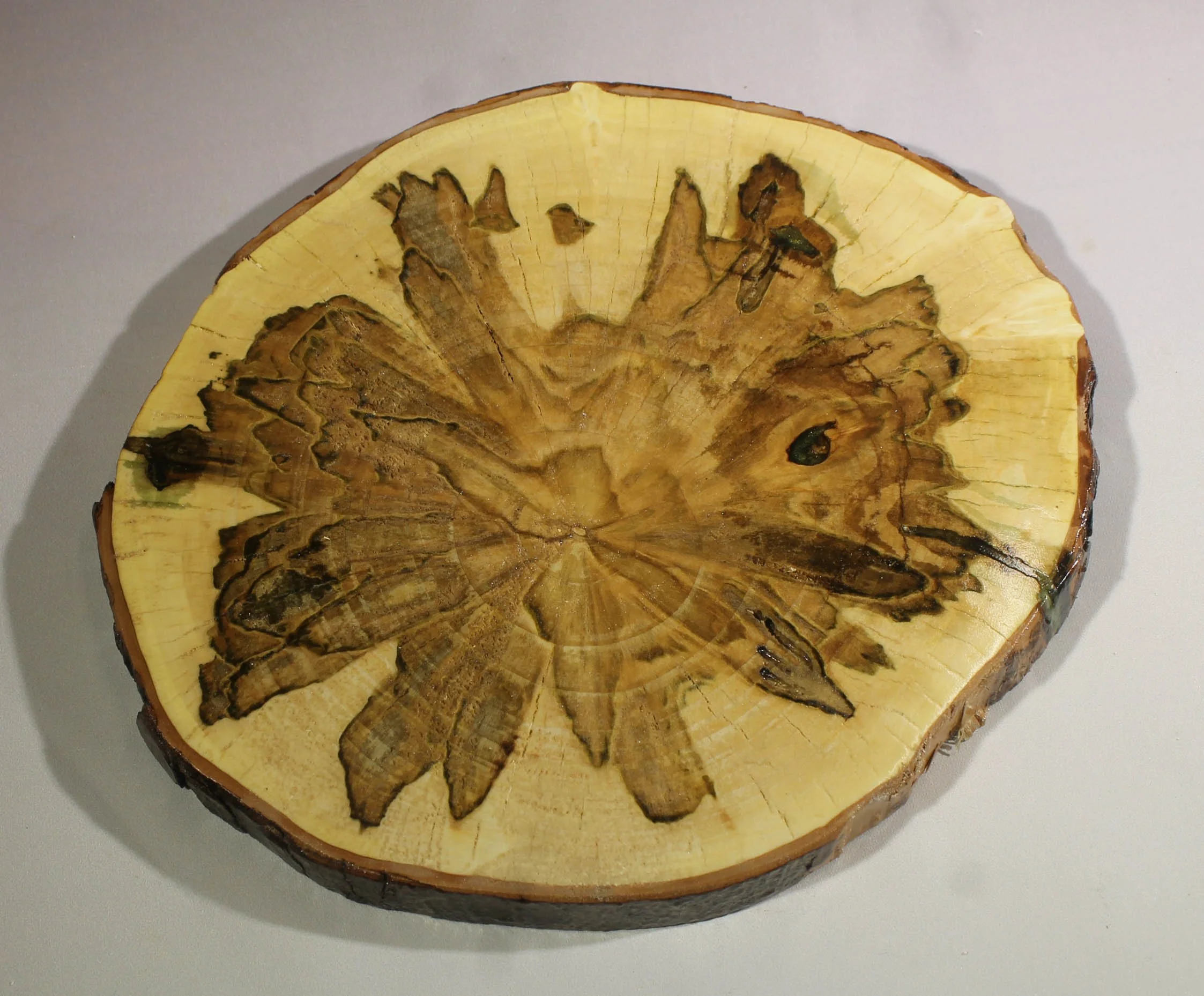 TV5
Spalted Maple Trivet (Wooden Cookie)
Appx. 8 ½” round, ⅝” thick
Do not put extremely hot pots or pans on this surface.  It is meant for warm items only.
$35