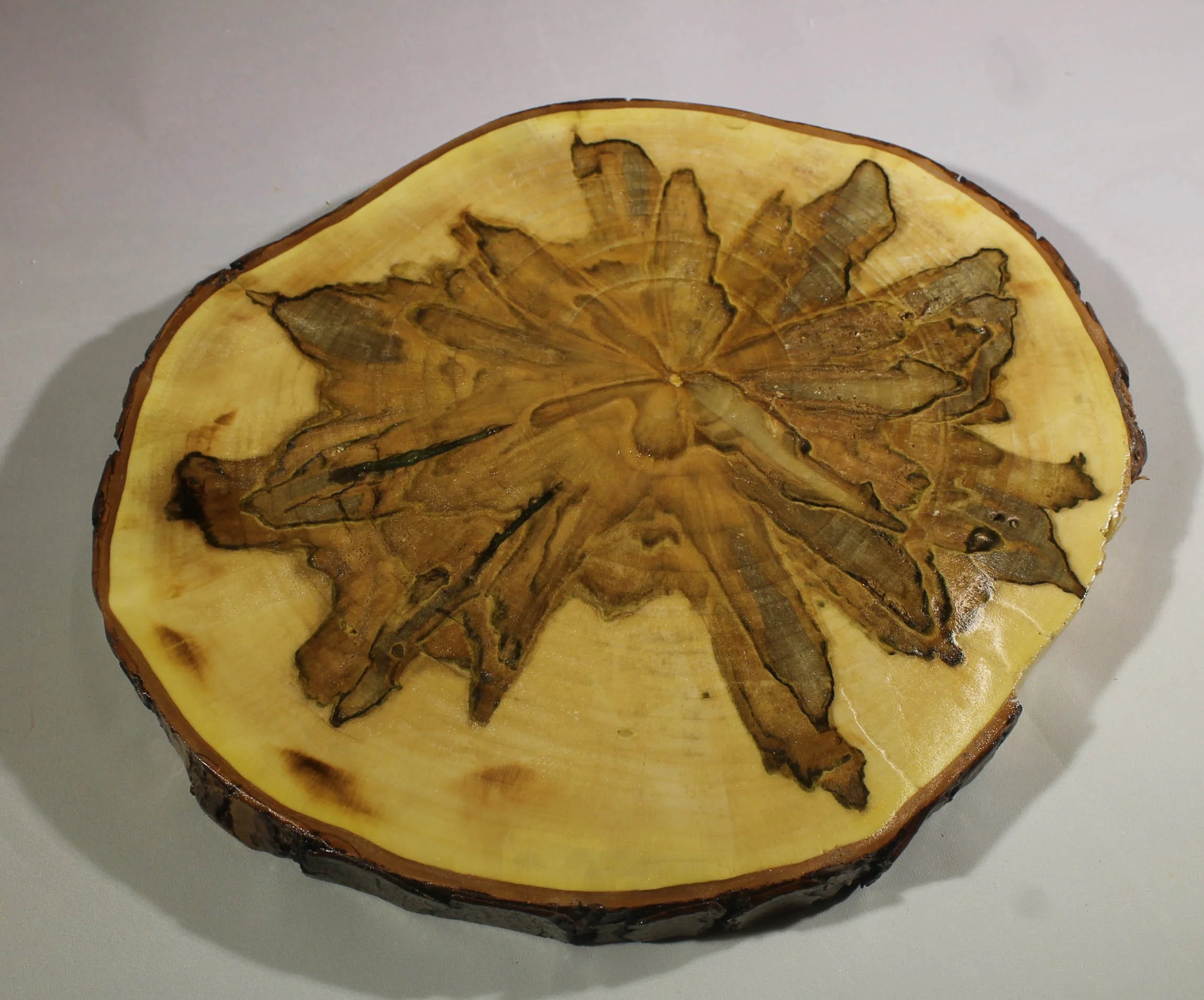TV6
Spalted Maple Trivet (Wooden Cookie)
Appx. 9” round, ¾” thick
Do not put extremely hot pots or pans on this surface.  It is meant for warm items only.
$35