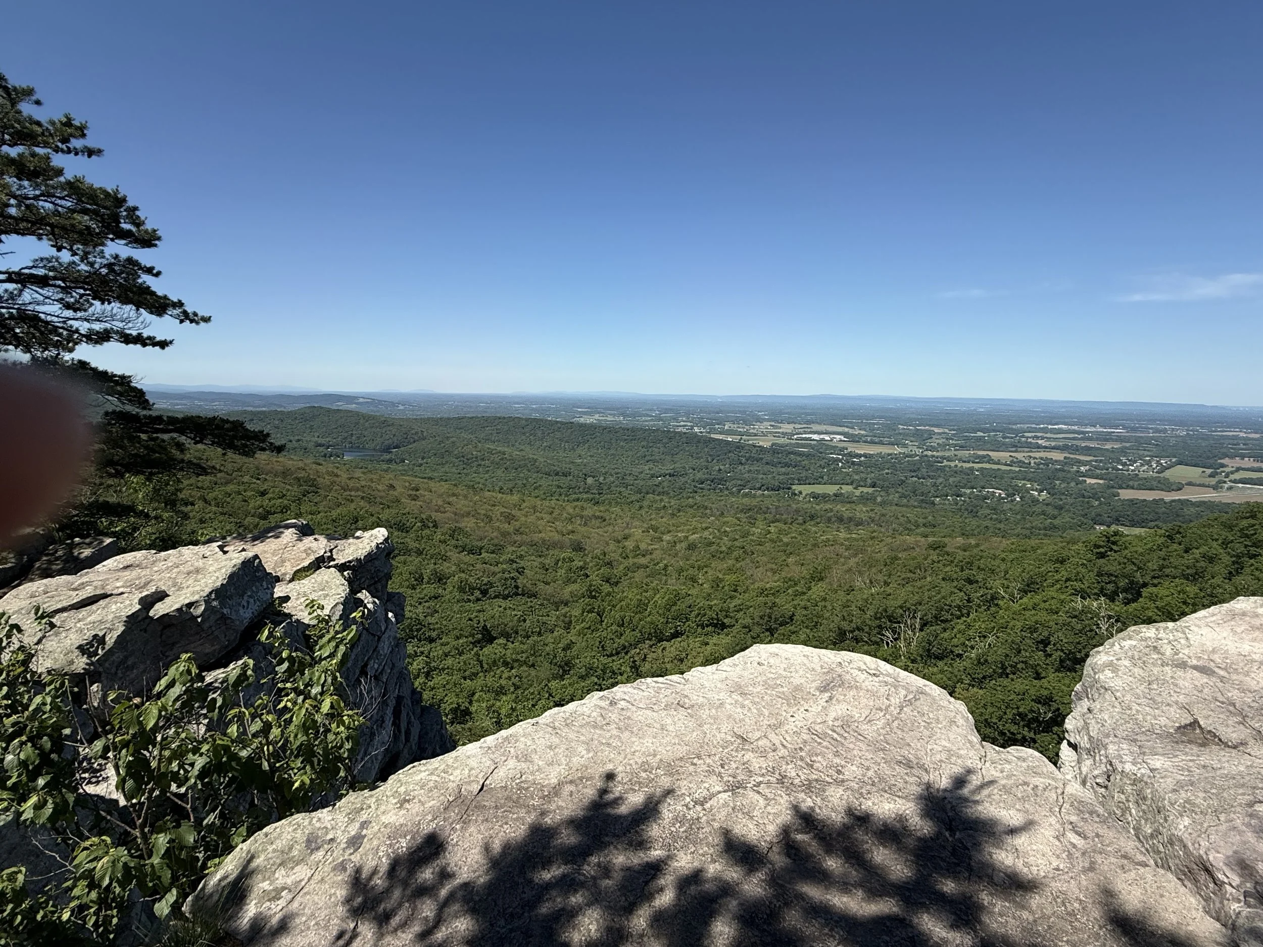 YCC in the Community: Community Hikes for Sierra Club
