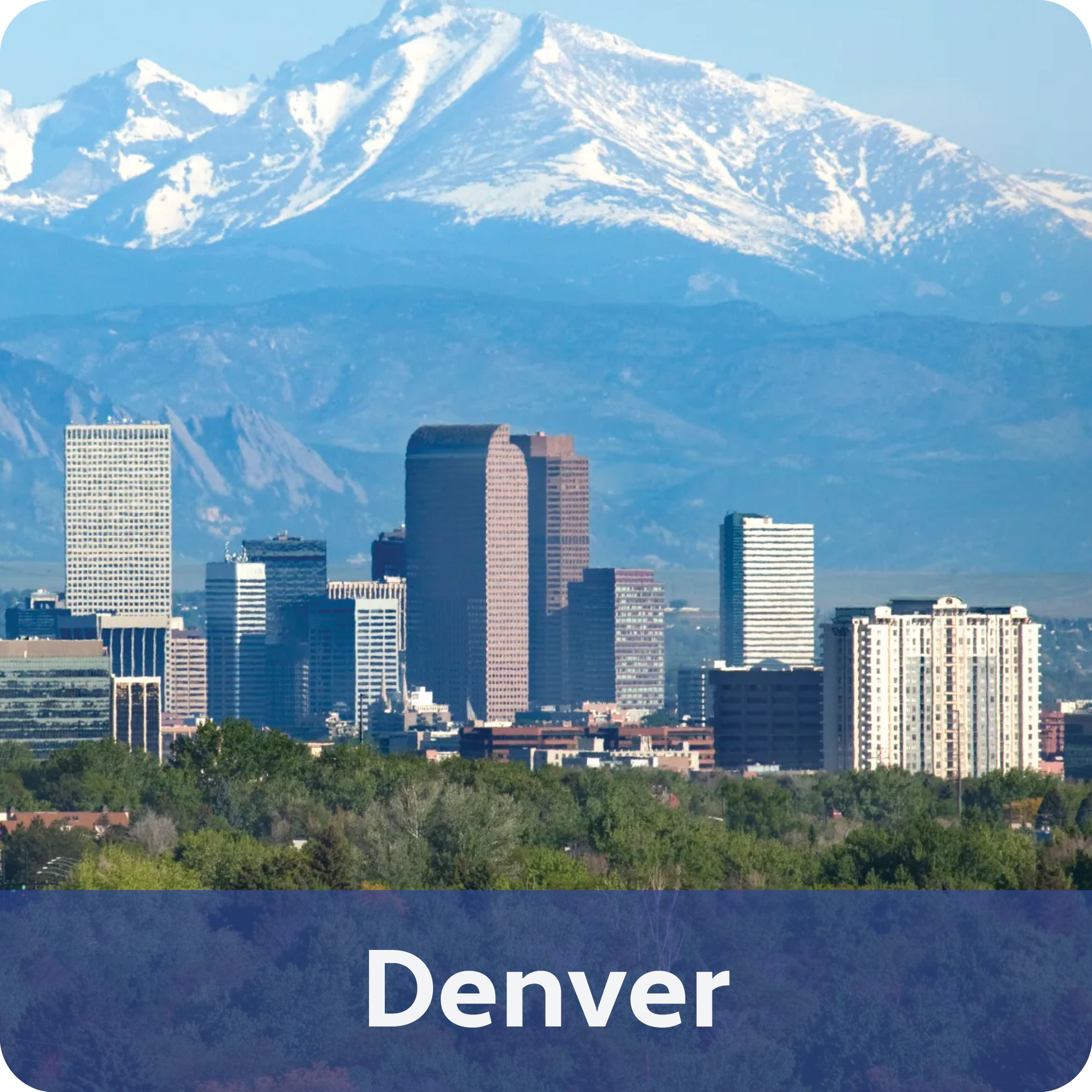 Denver Product.png