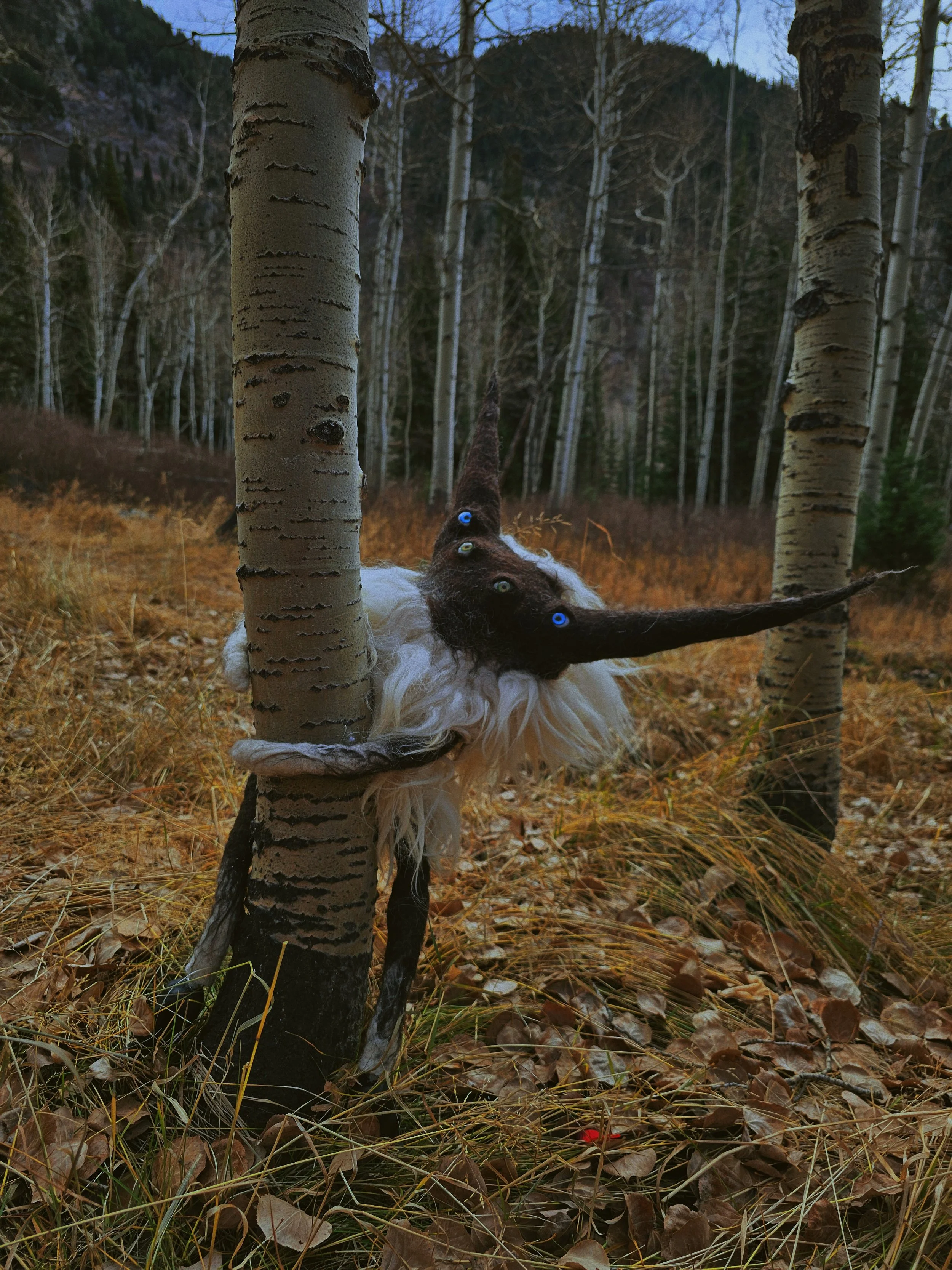 20251112_111727 (1).jpg