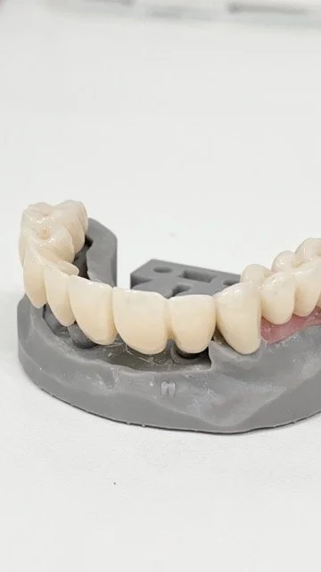 IMG_1846 Mittel.jpeg