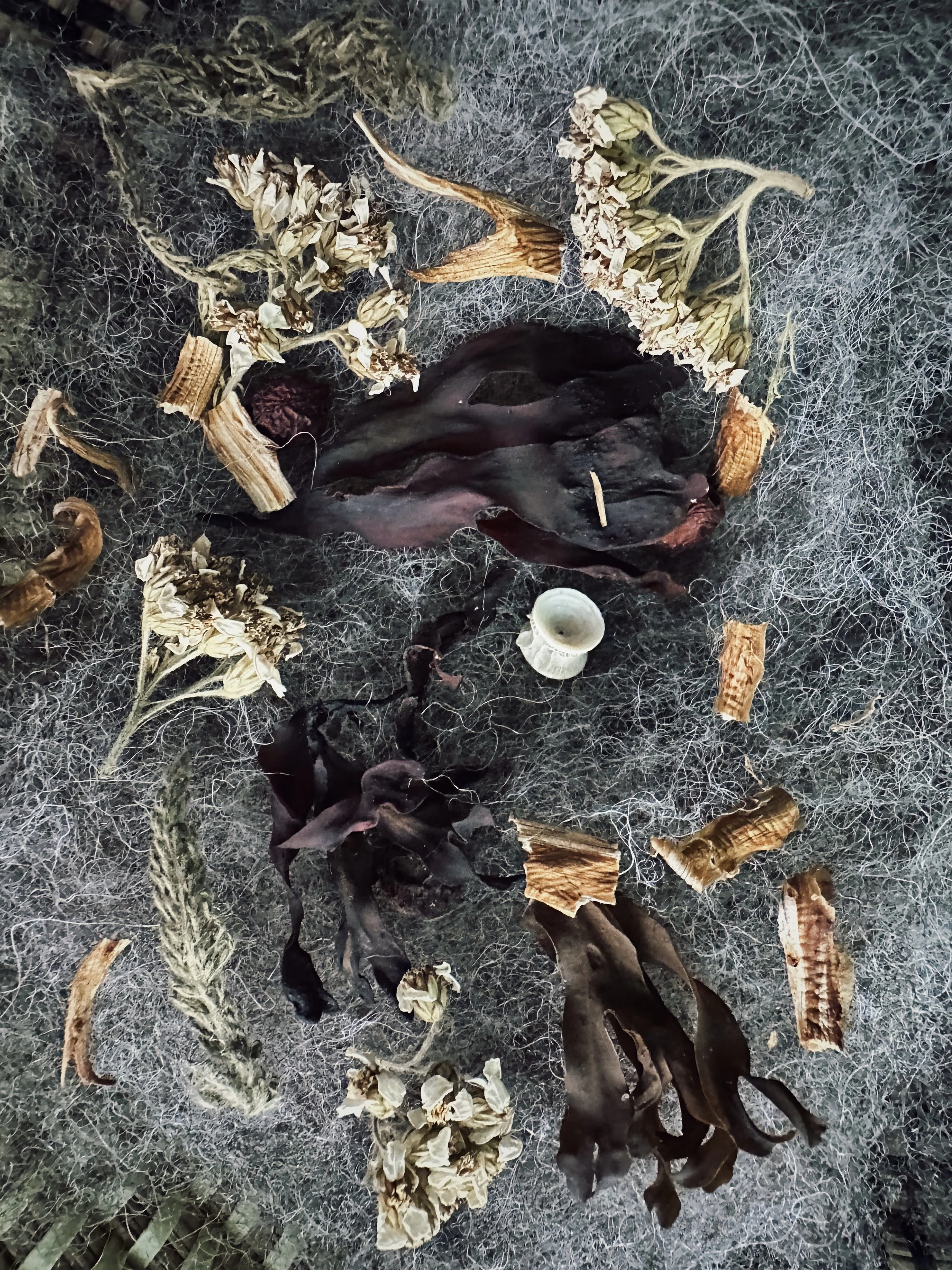 7F3FEDBF-96E1-42AD-A4AB-683B827FCE5A 2.jpg