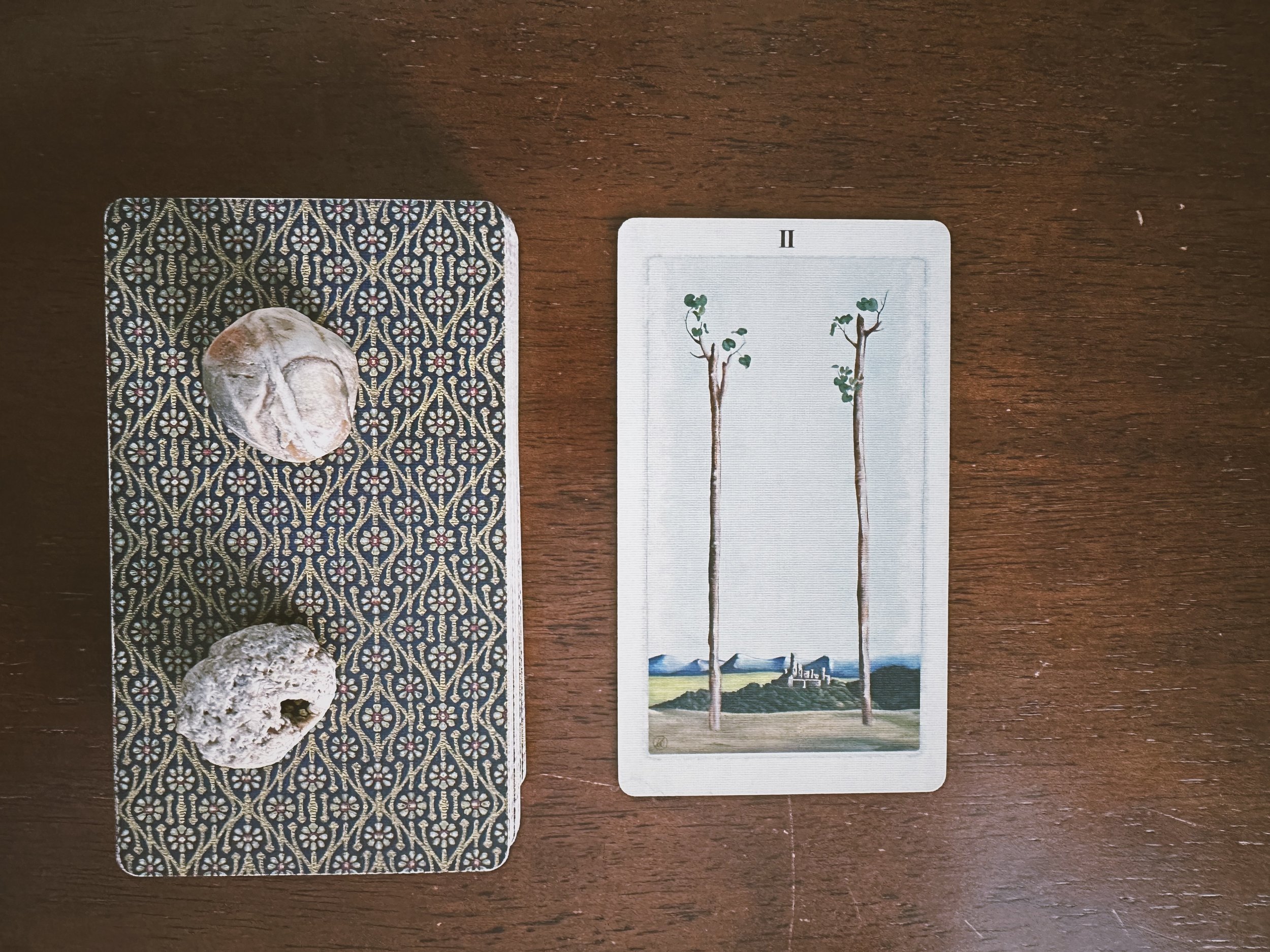 Tarot Diary | Two of Wands
