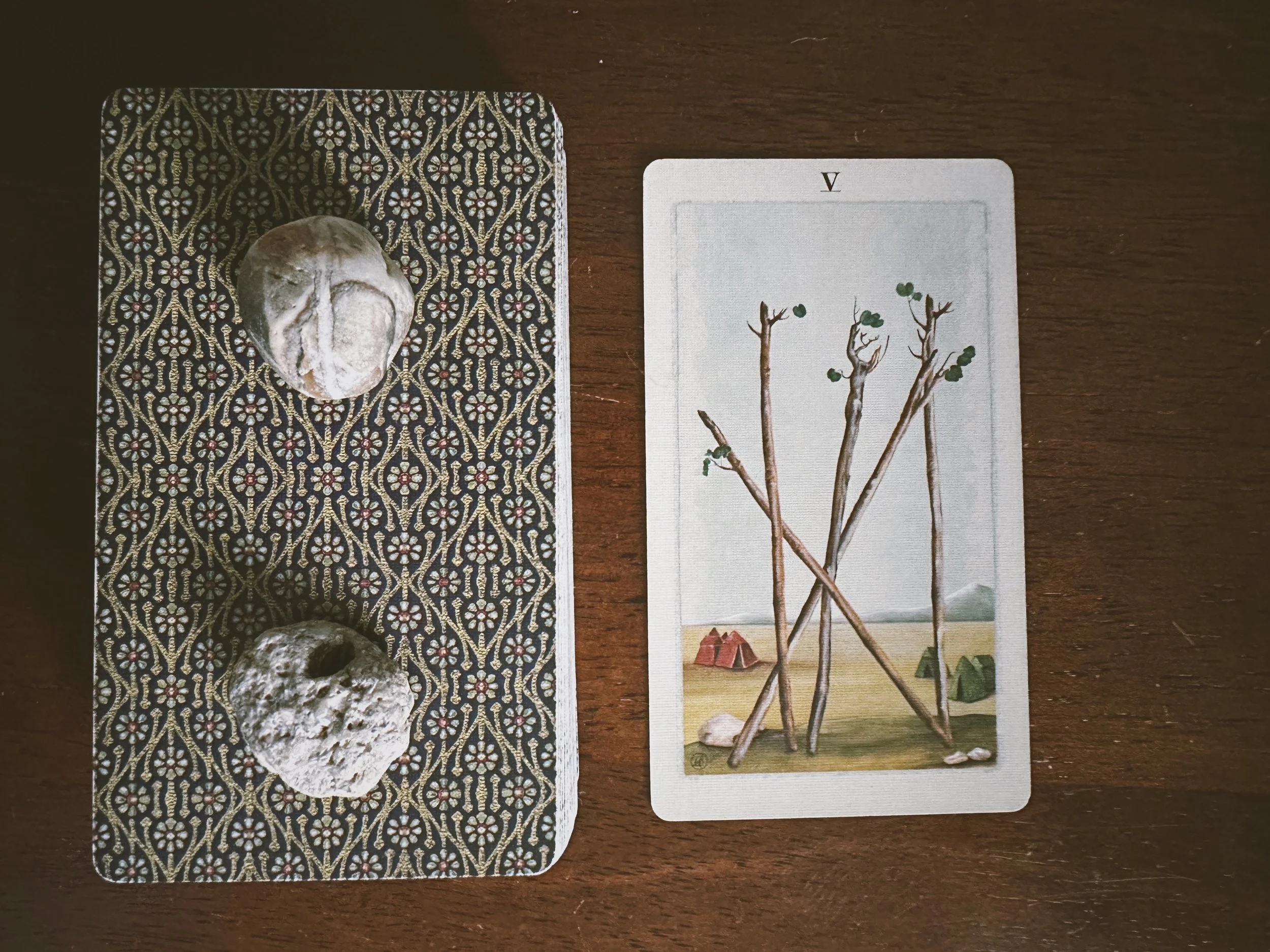 Tarot Diary | Five of Wands