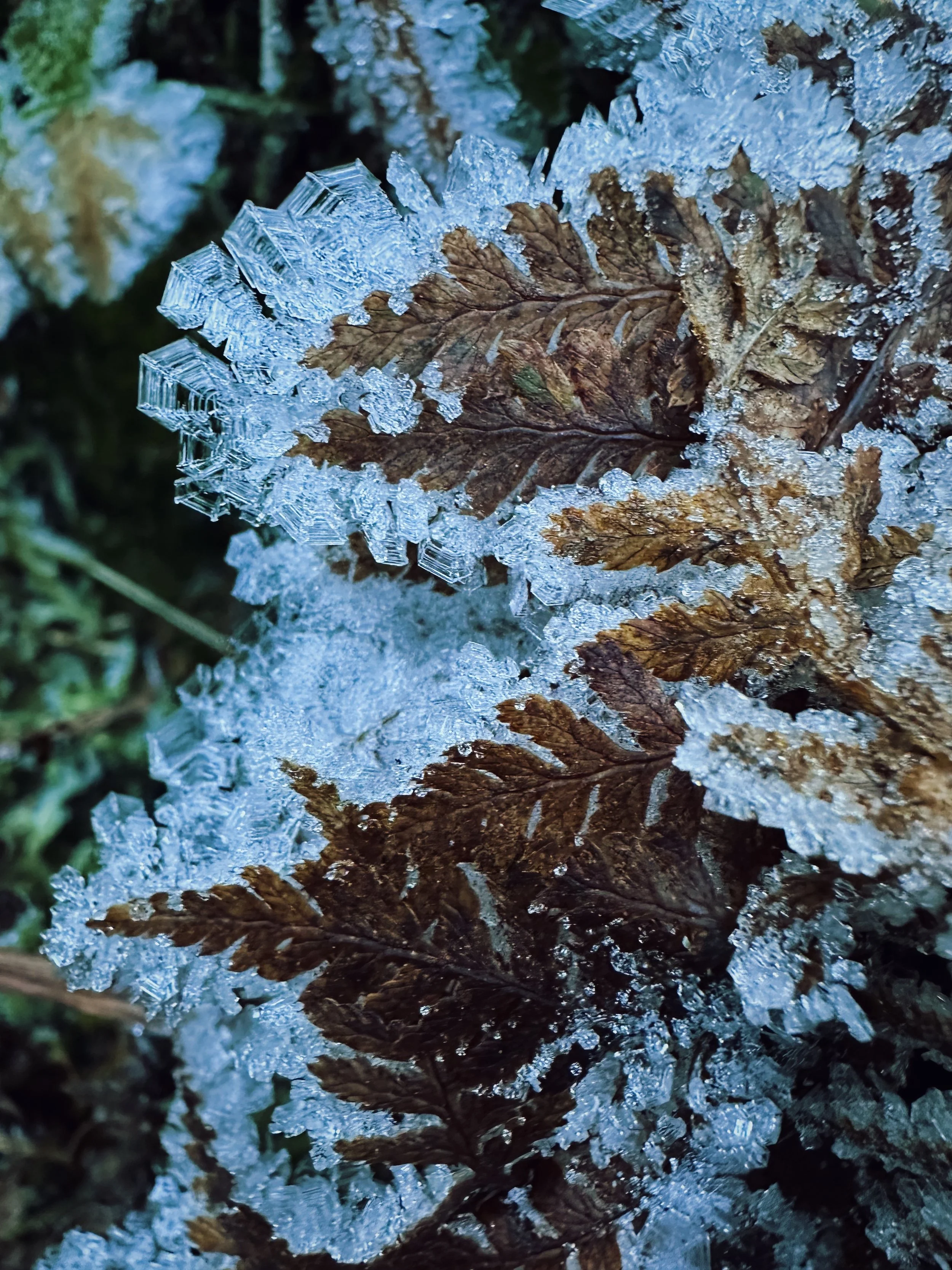 Death work: a new beginning