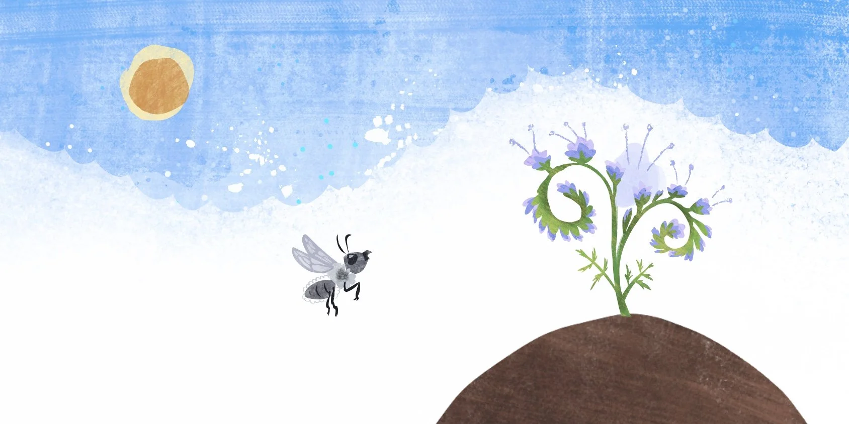 Missing purple tansy last page.jpg