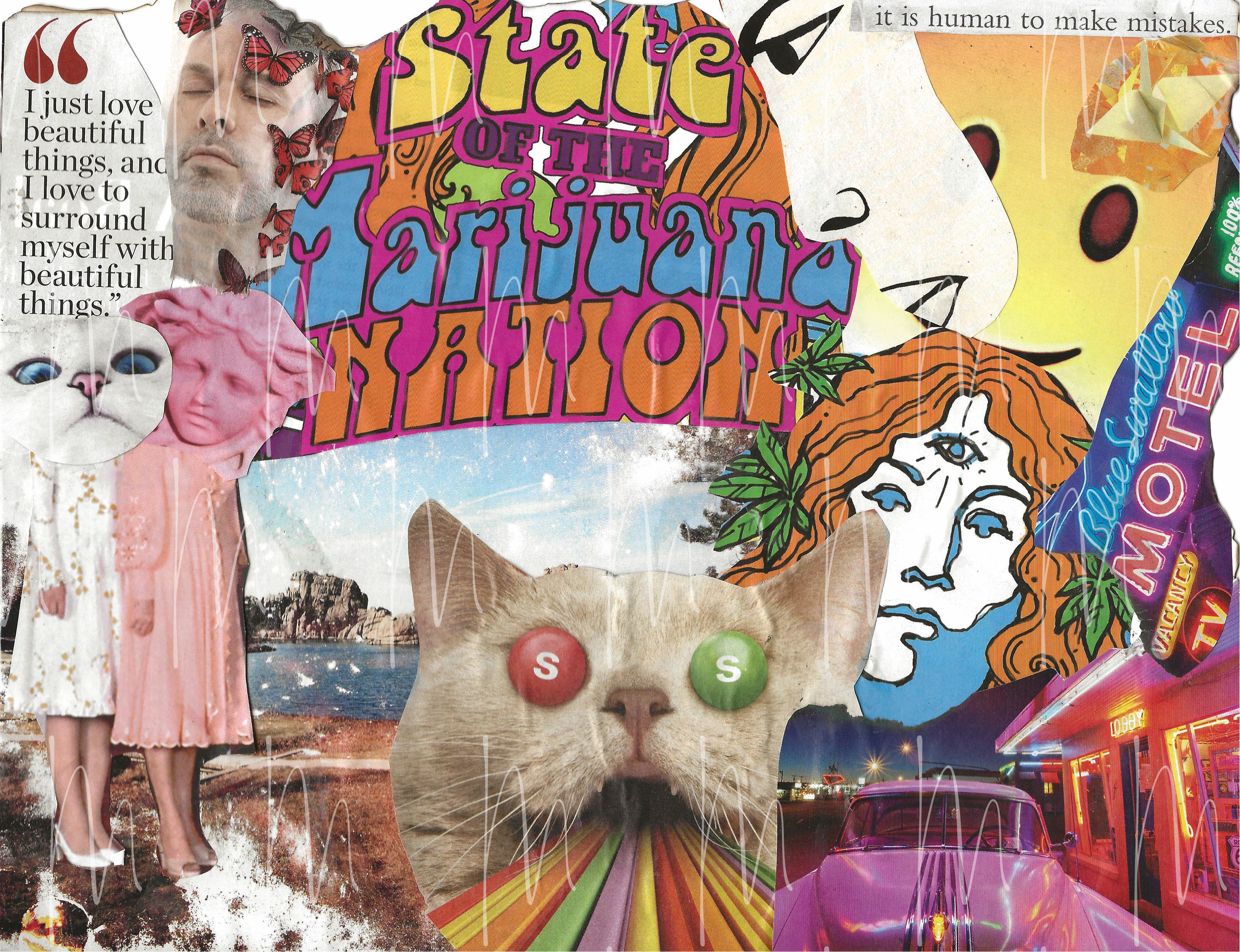 lions gate portal - framed