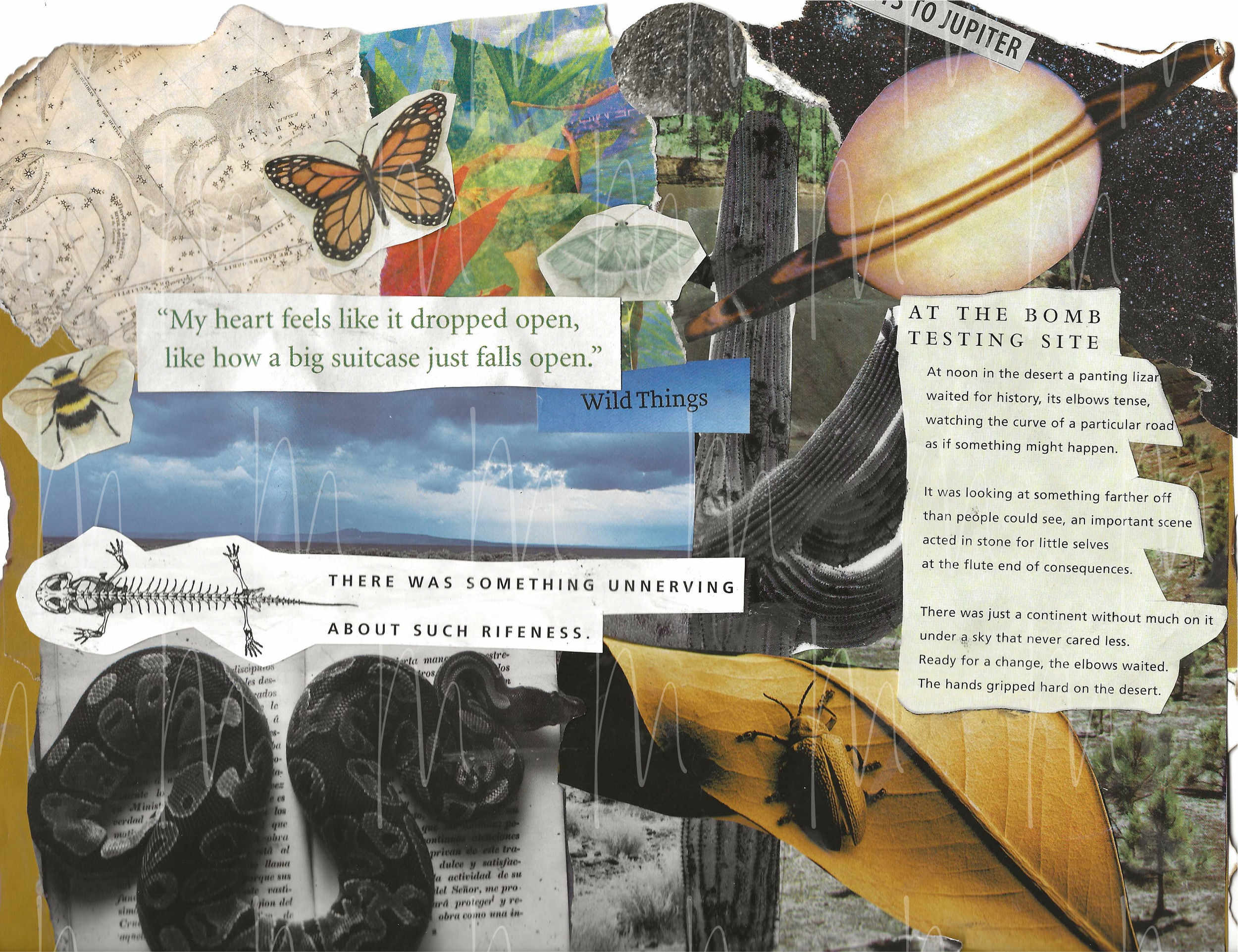 notes from jupiter - framed