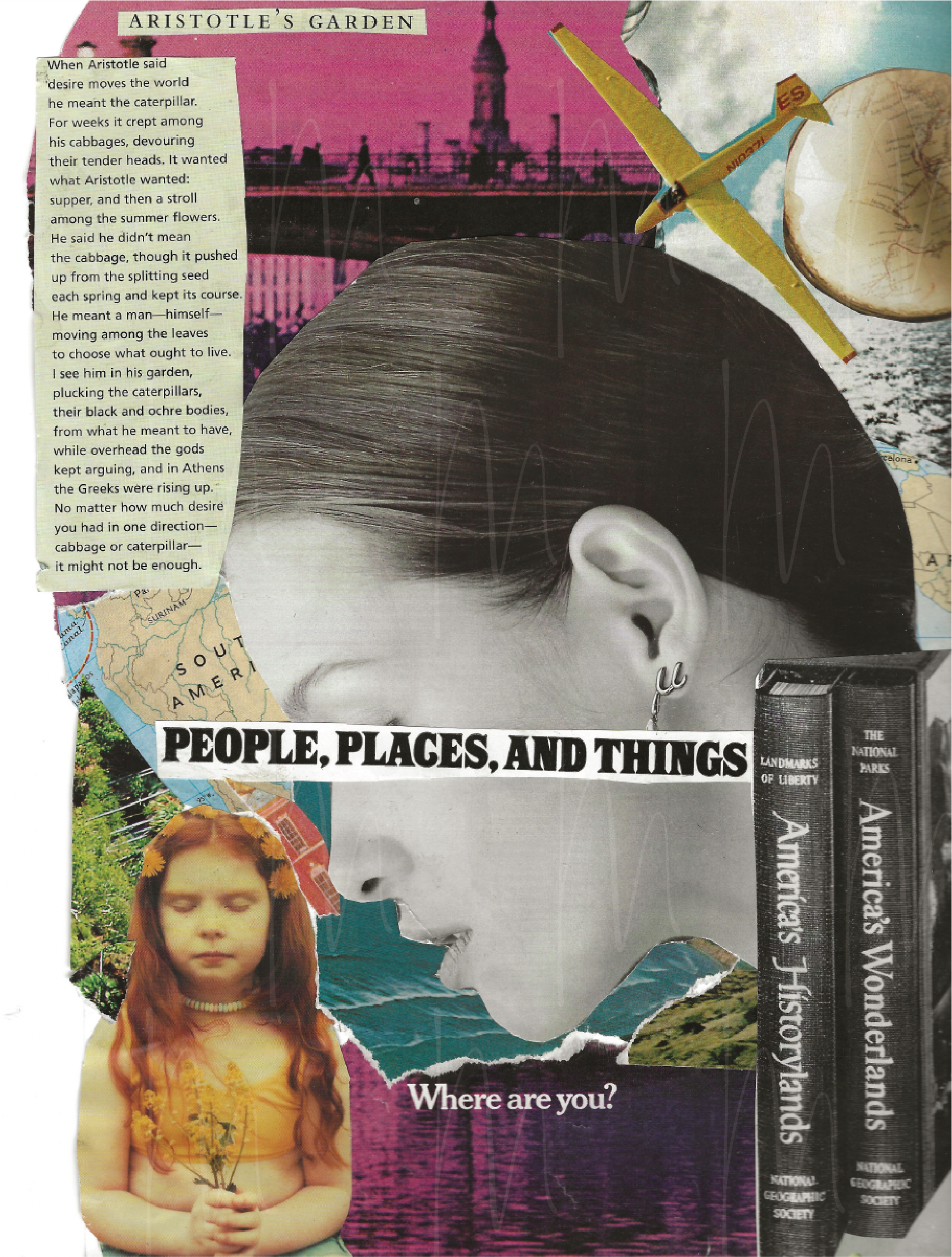 aristotle's garden - framed